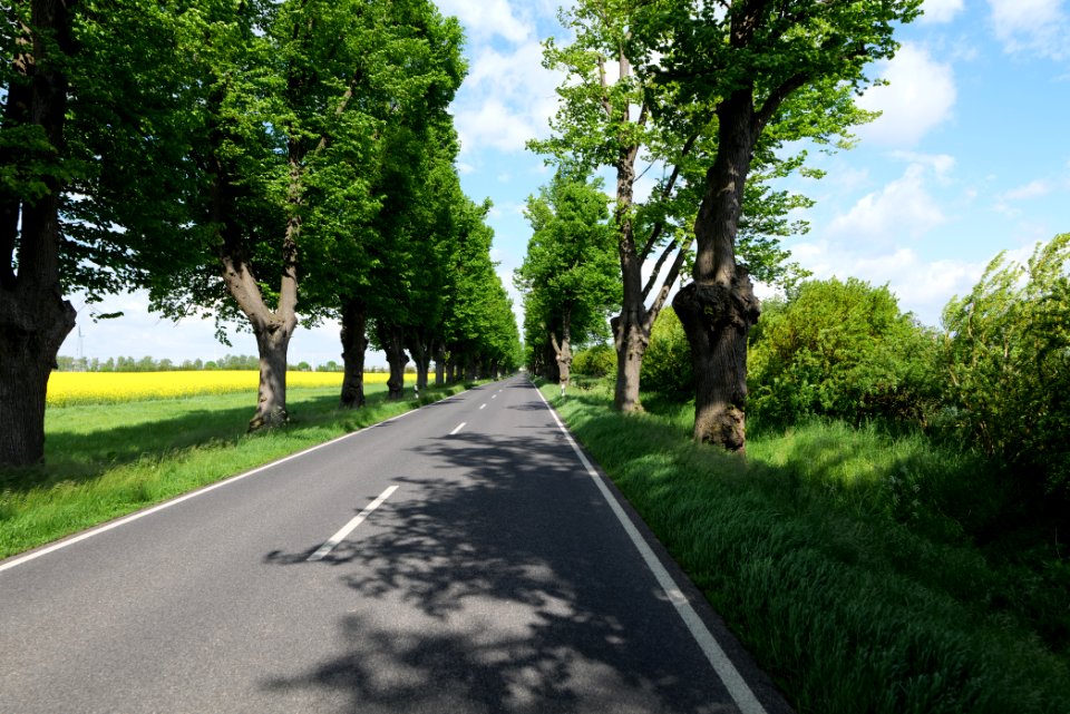 L15 Avenue in Gollmitz 2021-05-29 49