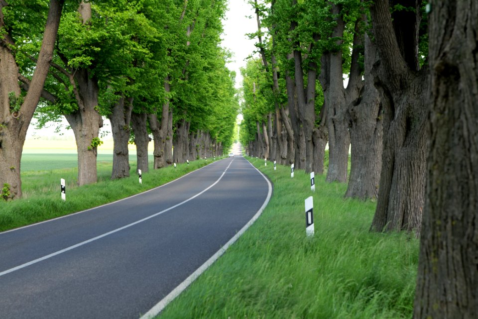 L15 Avenue in Gollmitz 2021-05-29 35