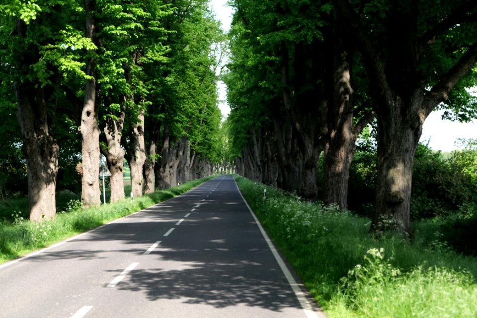 L15 Avenue in Gollmitz 2021-05-29 06