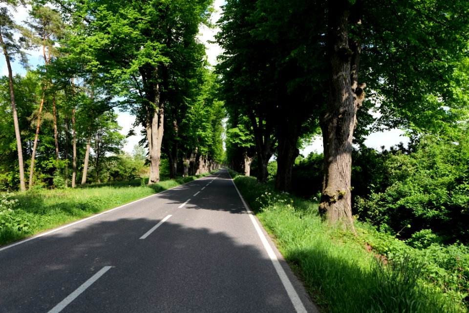 L15 Avenue in Gollmitz 2021-05-29 03
