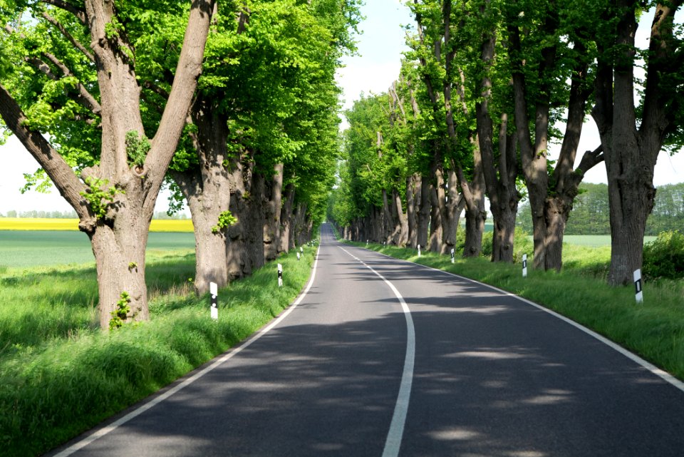 L15 Avenue in Gollmitz 2021-05-29 26