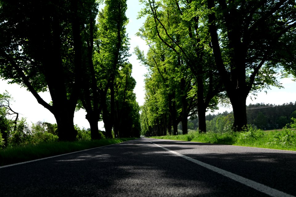 L15 Avenue in Gollmitz 2021-05-29 31