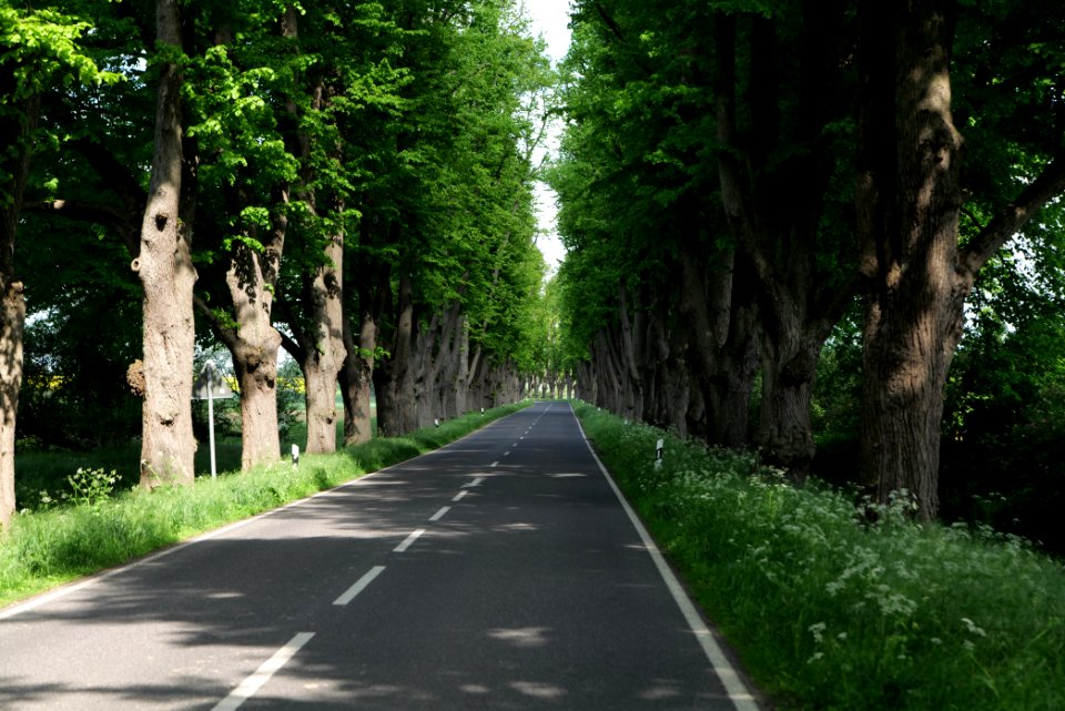 L15 Avenue in Gollmitz 2021-05-29 07