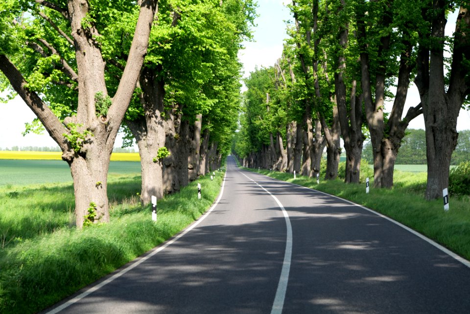 L15 Avenue in Gollmitz 2021-05-29 27