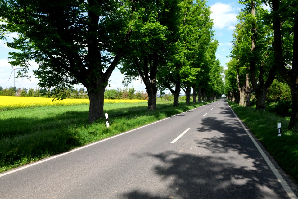 L15 Avenue in Gollmitz 2021-05-29 53