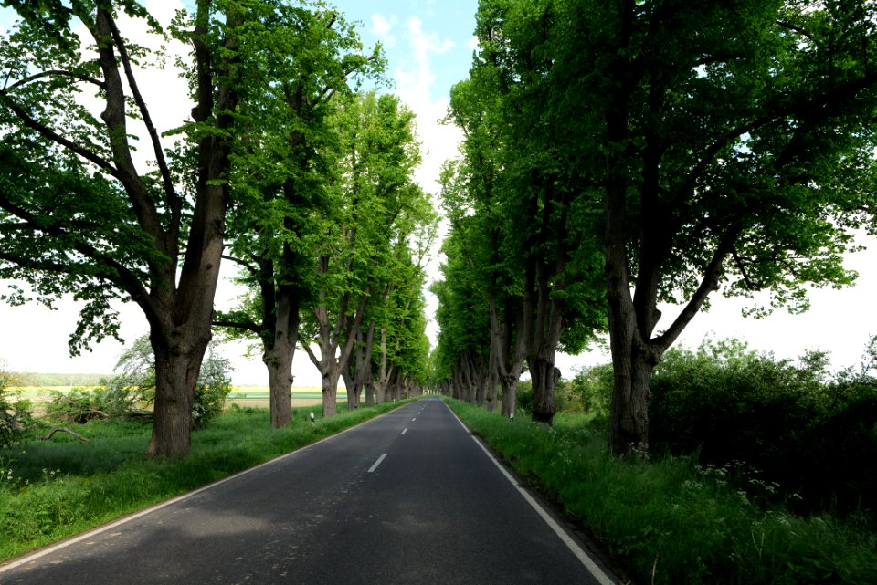 L15 Avenue in Gollmitz 2021-05-29 11