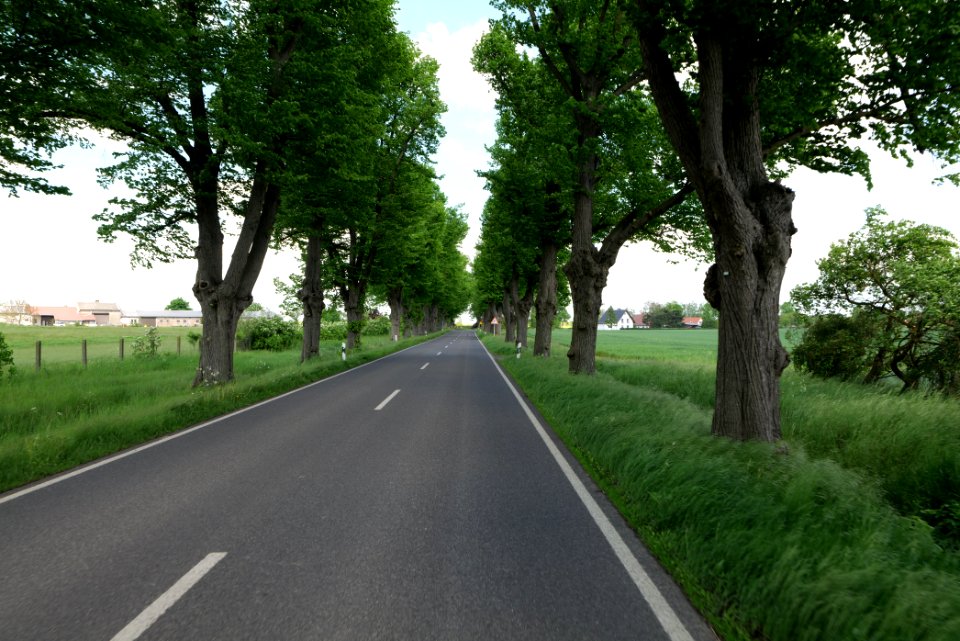 L15 Avenue in Gollmitz 2021-05-29 54