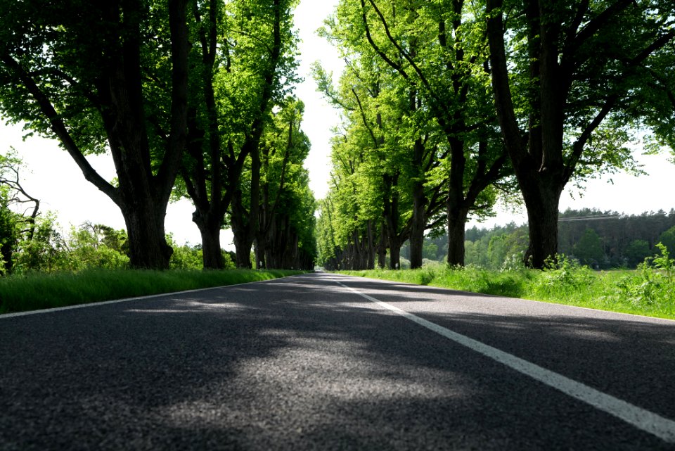 L15 Avenue in Gollmitz 2021-05-29 32