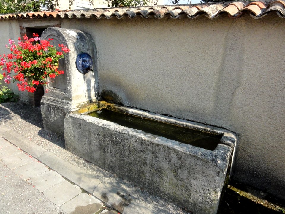 La Neuville-derrière-Foug (Meurthe-et-M.) fontaine C