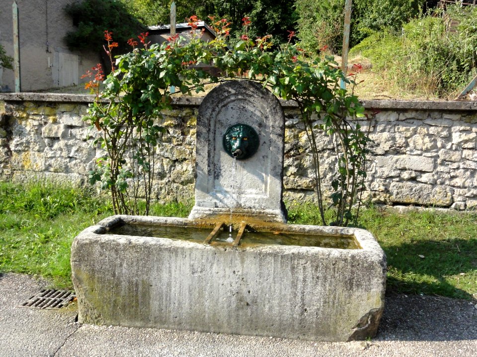 La Neuville-derrière-Foug (Meurthe-et-M.) fontaine B