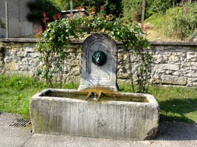 La Neuville-derrière-Foug (Meurthe-et-M.) fontaine B