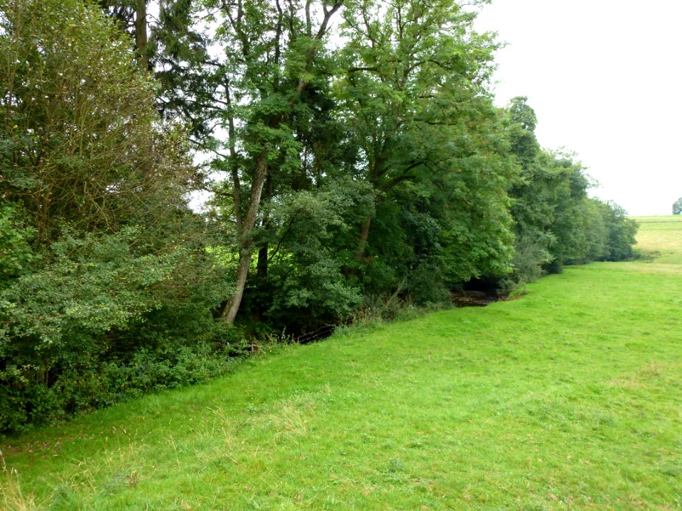 La Neuville aux Joûtes (Ardennes) paysage, la rive gauche du Gland