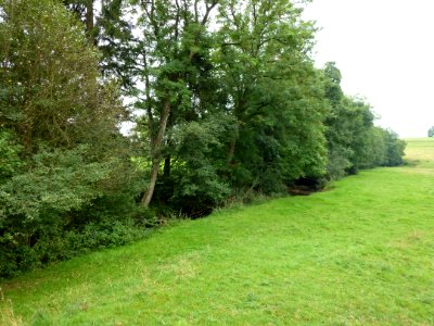 La Neuville aux Joûtes (Ardennes) paysage, la rive gauche du Gland