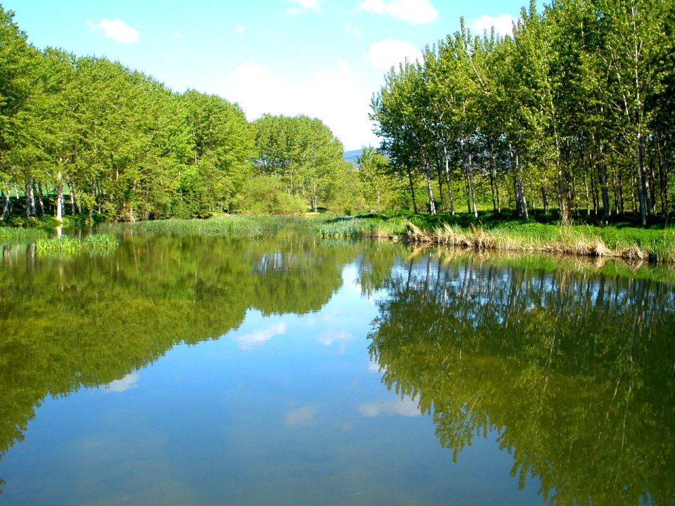 La Puebla de Arganzón, río Zadorra 5