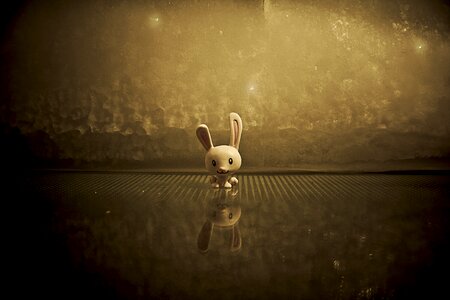 Plastic rabbit reflection