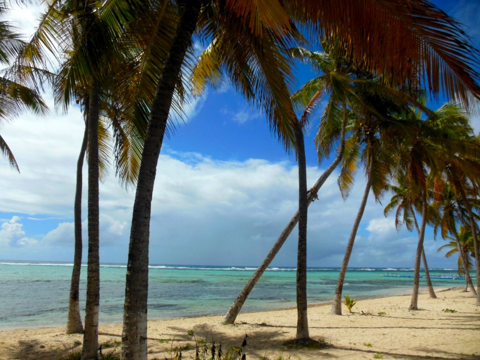 La PLAGE à FANFAN à LA DESIRADE