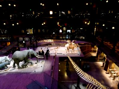 La Grande Galerie de l'Evolution