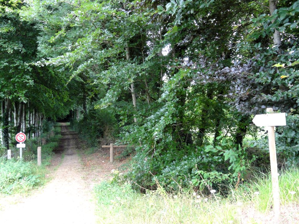 La Folletière (Seine-Mar.) chemin de randonnée