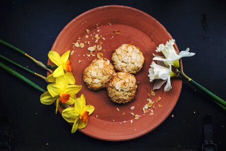 Dessert flora flowers photo