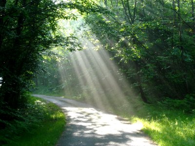 La Rebeyrolle, (Creuse, Fr), sur le chemin de St.jacques