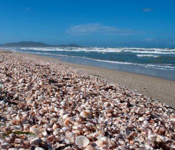 La Restinga Beach