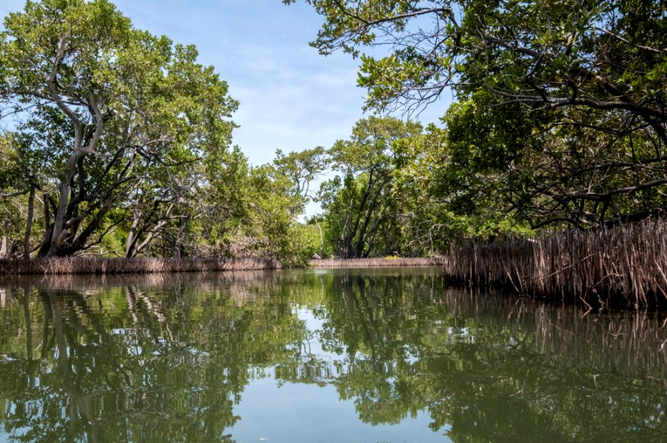 La Restinga Lagoon in Isla Margarita