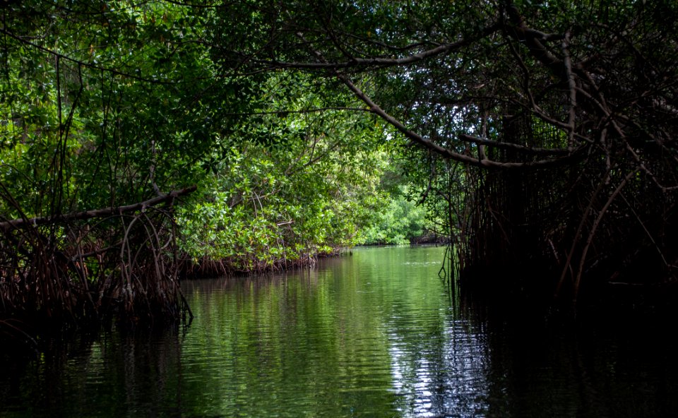La Restinga Lagoon