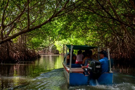 La Restinga Lagoon National Park 4