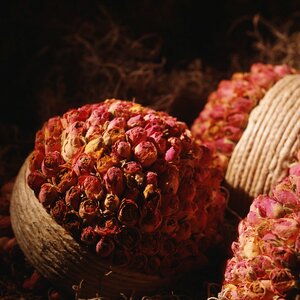 Litchi gourmet fruit