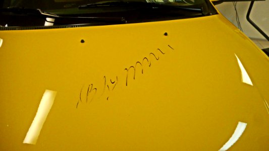 Lada Kalina Sport yellow putin 1