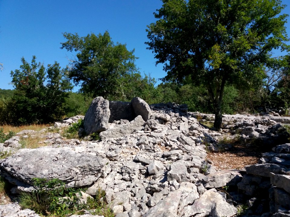 Labeaume - Site des dolmens de Ranc de Figère - Dolmen au tumulus