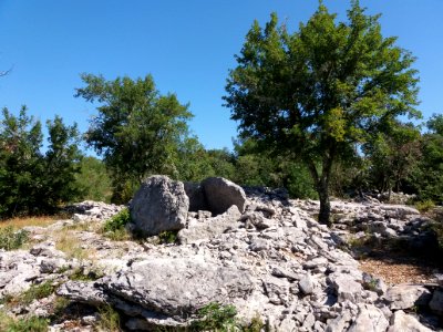 Labeaume - Site des dolmens de Ranc de Figère - Dolmen au tumulus 2