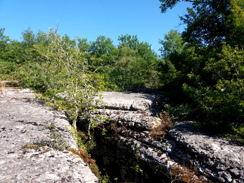 Labeaume - Site des dolmens de Ranc de Figère - 02
