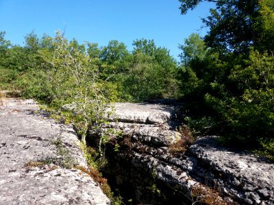 Labeaume - Site des dolmens de Ranc de Figère - 02