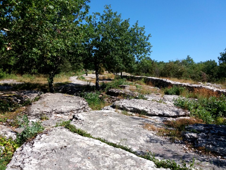 Labeaume - Site des dolmens de Ranc de Figère - 09