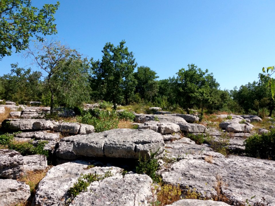 Labeaume - Site des dolmens de Ranc de Figère - 08
