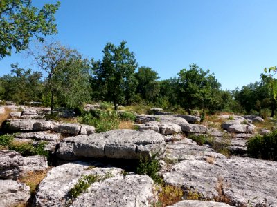 Labeaume - Site des dolmens de Ranc de Figère - 08