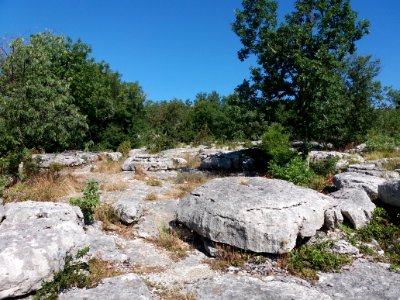 Labeaume - Site des dolmens de Ranc de Figère - 05