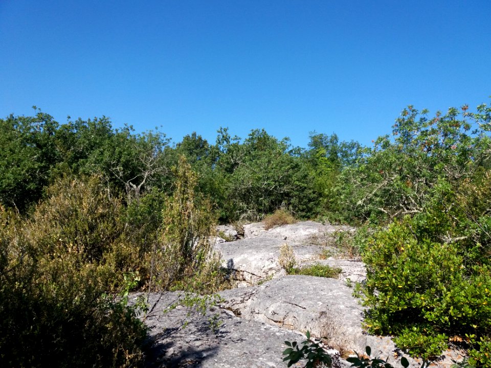 Labeaume - Site des dolmens de Ranc de Figère - 01