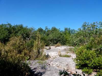 Labeaume - Site des dolmens de Ranc de Figère - 01