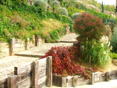 Labastida 08