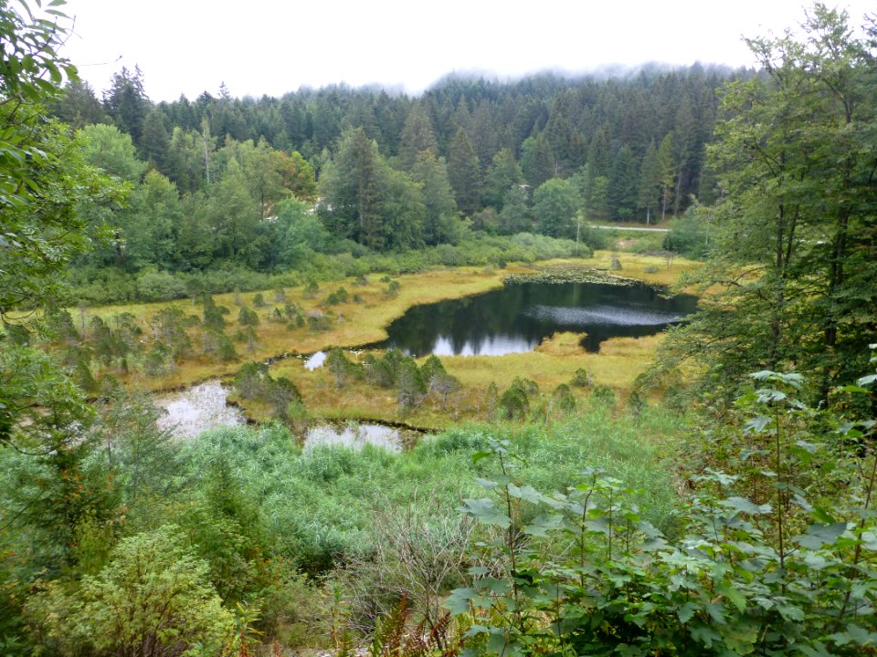 Lac Luitel, Vaulnaveys-le-Haut, Isère, France