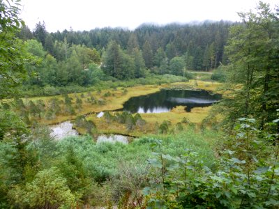 Lac Luitel, Vaulnaveys-le-Haut, Isère, France