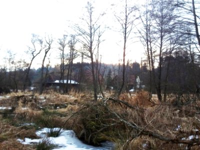 Labermühle(Deinig) (8)