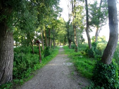 Labiszyn Park Island16