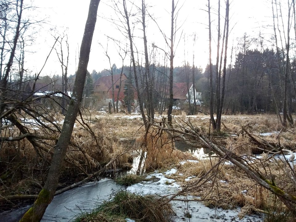 Labermühle(Deinig) (9)