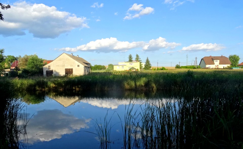 Labiszyn Park Island13