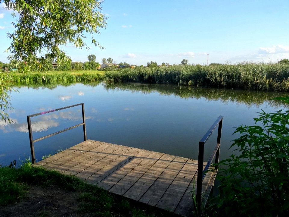 Labiszyn Park Island18