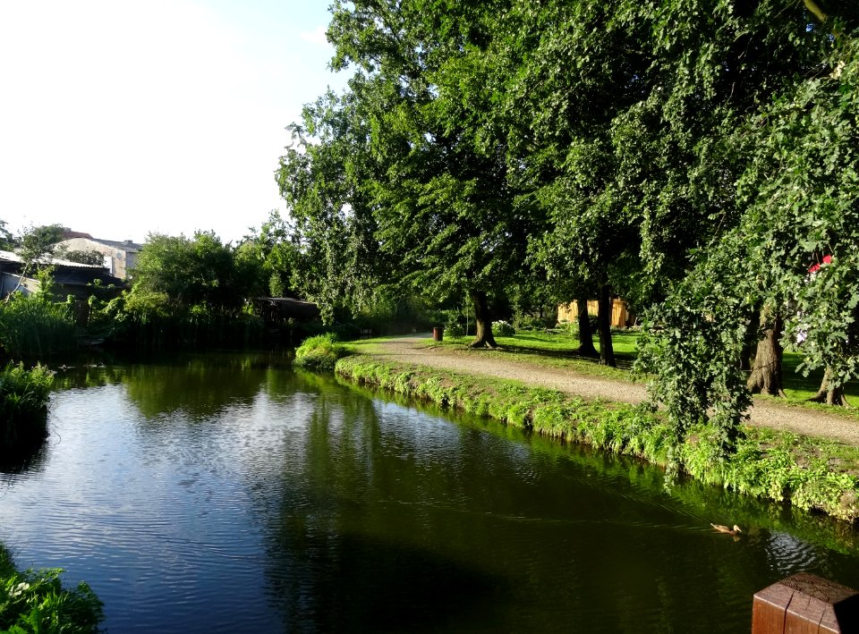 Labiszyn Park Island1