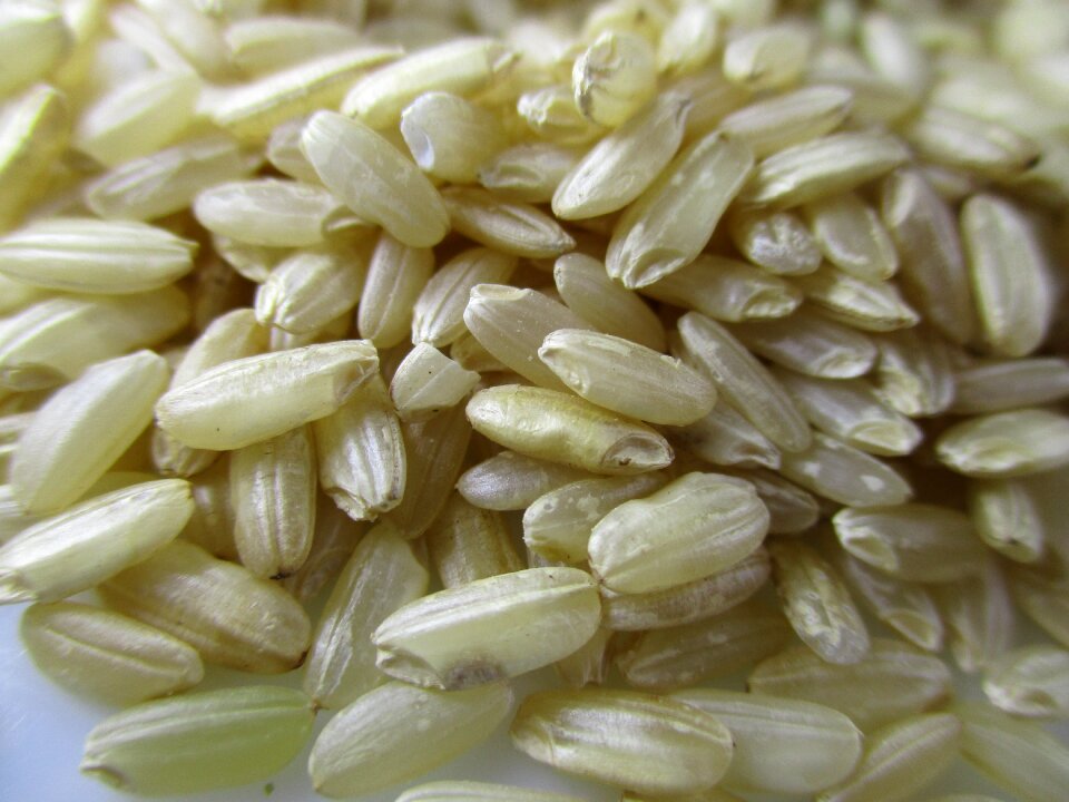 Risotto brown rice carnaroli rice
